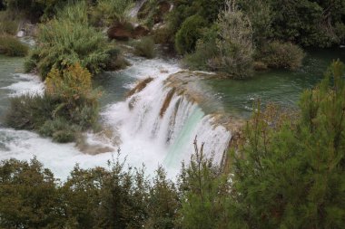 Hırvatistan 'ın Krka Ulusal Parkı' ndaki parlak yeşil yaprakların arka planında güçlü bir su akışına sahip şelale