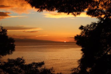 Bright sunset at sea, island Brac and orange sun on the horizon, sky, sea and orange clouds.Orange sunset over the sea, silhouette of pine trees against the sky and sea, Baska Voda, Croatia clipart