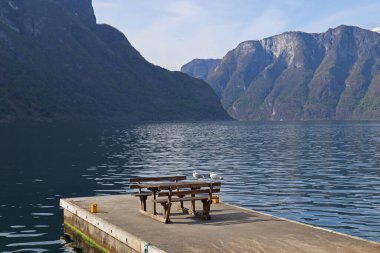 Two seagulls on a pier overlooking high mountains on the shore of a fjord on a sunny spring day, Aurlandsfjord, Norway clipart