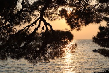 Gün batımında denizin üzerinde çam ağaçlarının silueti, deniz manzarası, Brela, Hırvatistan  