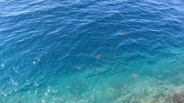 Adriyatik Denizi 'nin berrak mavi sularında yüzen balıklar, üst manzara, arka plan görüntüsü