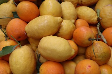 Parlak olgun meyveler portakal ve sarı limonlar