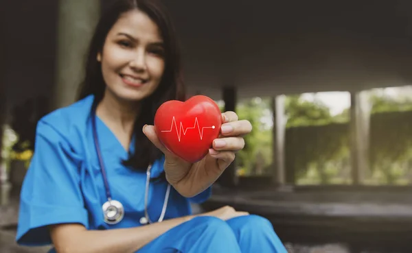 Asian female cardiovascular surgeon holding red heart pulse smiling at the camera to wish you : Health care for coronary heart disease and heart disease in medical concepts.