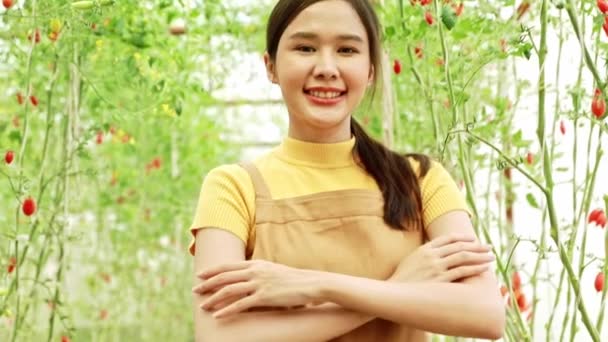 Pebisnis Potret Wanita Pebisnis Pertanian Menanam Tomat Ceri Tanaman Organik — Stok Video