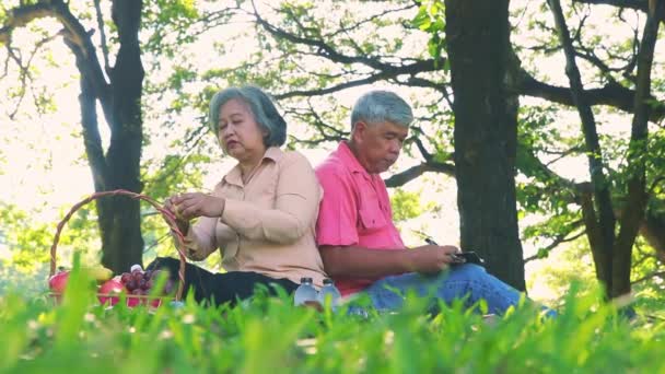 Emeklilik Hayatı Yaşlı Çift Gölgeli Ağaçların Altında Oturup Eğlenmek Meyve — Stok video