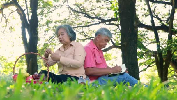 Συνταξιοδότηση Ζωή Ηλικιωμένοι Ζευγάρι Είναι Ευτυχισμένη Και Ευτυχισμένη Κάθεται Στον — Αρχείο Βίντεο