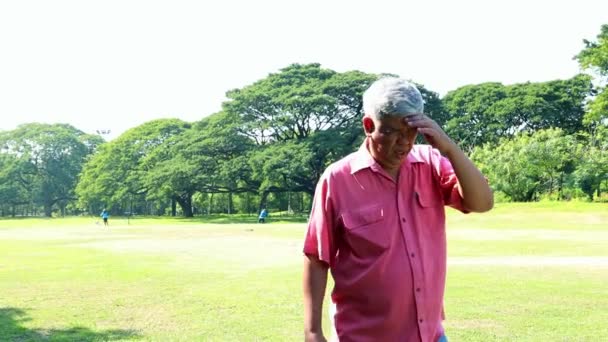 Asian Elderly Man Walking Outdoor Lawn Syour Hands Bright Sunlight — Stock Video