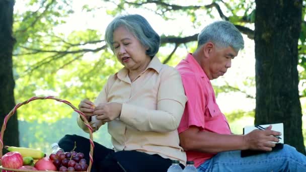引退生活 高齢者のカップルは 自然の果物や絵を食べる レクリエーション活動を行う日陰の木の下で庭に座って満足していると幸せ — ストック動画