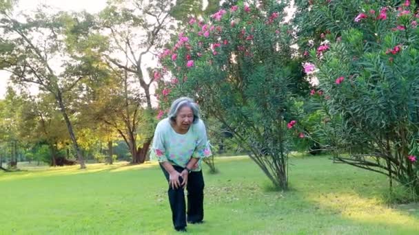 Diz Ağrısı Çeken Asyalı Yaşlı Kadın Bahçede Çok Fazla Yürüyen — Stok video