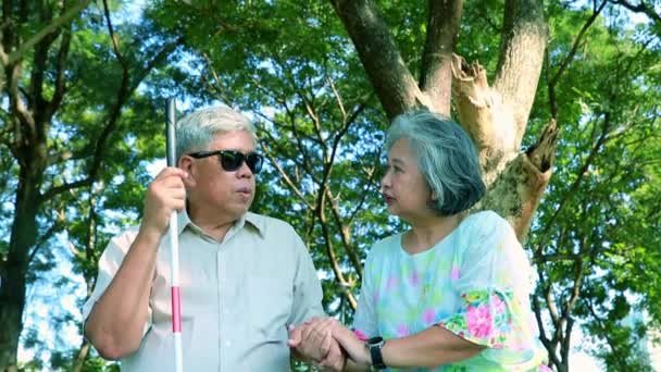 Ältere Frau Pflegt Und Ermutigt Kranken Blinden Mann Berührt Seine — Stockvideo
