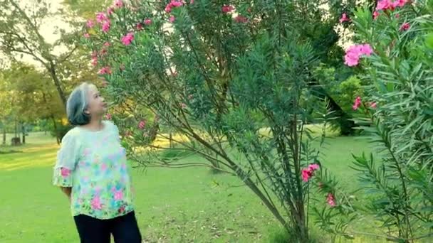 美丽的亚洲女子健康的退休休息散步草坪 欣赏阴暗的公园里美丽的粉色花朵 — 图库视频影像