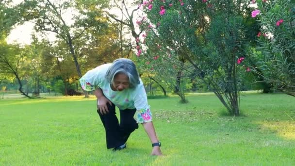 亚洲老年妇女在高山上跌跌撞撞 跌倒在花园里膝盖剧痛 坐立不安 不能站立行走 健康保险概念 — 图库视频影像