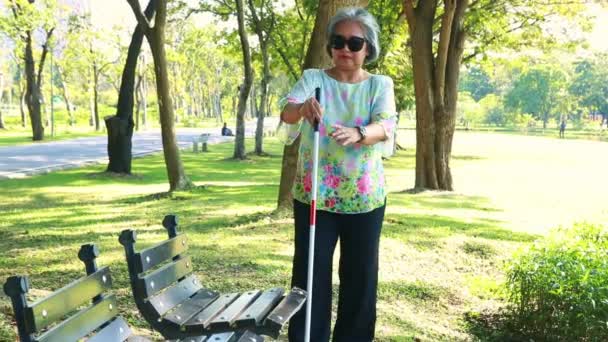 Пожилая Азиатка Ограниченными Возможностями Слепая Имеет Собственную Решимость Способности Гуляет — стоковое видео