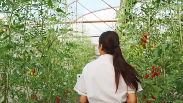 Азиатская Женщина Шеф Повар Работающая Кухне Отеля Держит Руках Ноутбук — стоковое видео