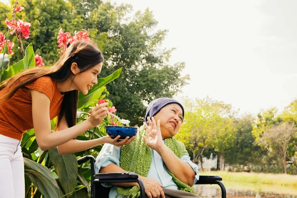Daughter taking care health elderly mother who is sick with cancer sitting in wheelchair to eat soup to restore body and health but mother is bored of food doesn\'t want to eat bland food and can\'t eat