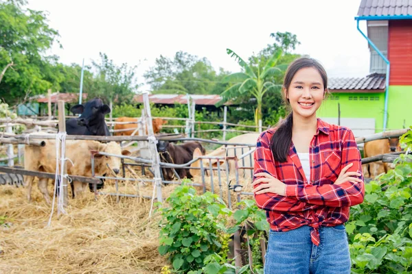 Retrato Bonito Asiático Agricultor Feminino Trabalhando Como Pastor Gado Campo — Fotografia de Stock