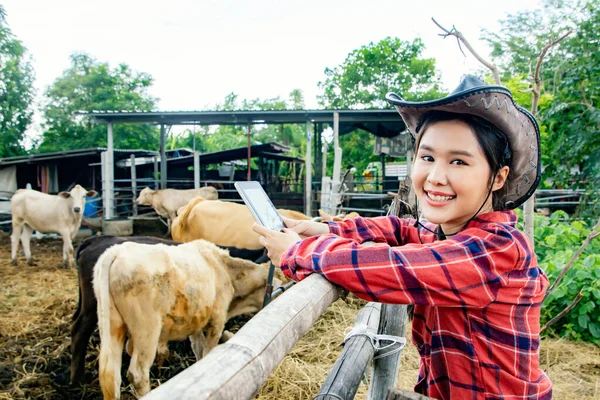 Portré Ázsiai Farmer Állatorvos Dolgozik Szarvasmarha Területen Egy Vidéki Tehénistállóban — Stock Fotó