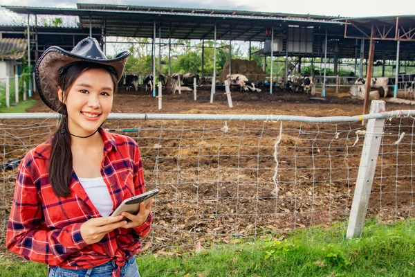 지역에서 일하는 초상화 수의학자 이시아 농장의 낙농장에서 가축을 돌보기 타블렛을 — 스톡 사진