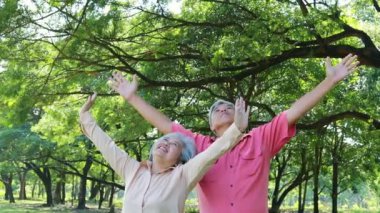 Senior couple facing the bright sky, arms wide open, breathing oxygen and clean ozone, enjoying nature and green trees for good health in old age : Health care and positive attitude concept.