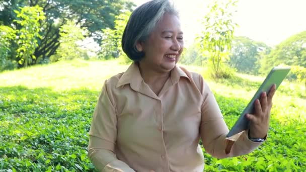 Asian Senior Woman Sitting Chatting Lover Communicating Long Distance Online — Vídeo de Stock