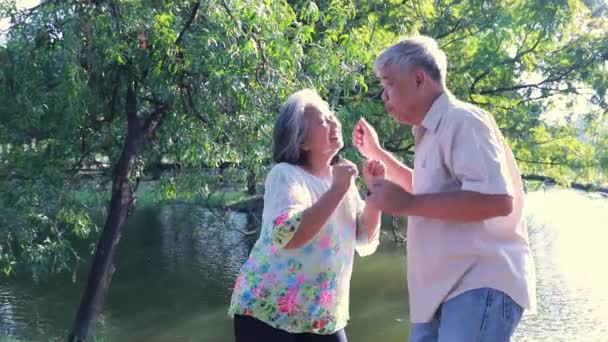 Healthy Happy Asian Senior Couple Relaxes Lively Dancing Singing Park — Stock video