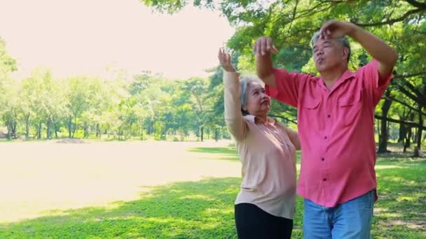 緑豊かな木々の下で庭を散歩しながら 高齢者のカップルはしっかりと抱擁 健康管理と肯定的な態度の概念 — ストック動画