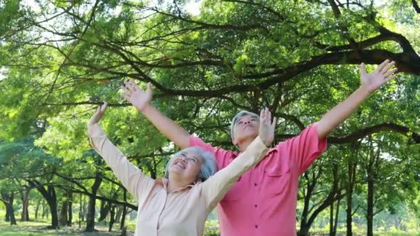 明るい空に面したシニアカップル 腕を大きく開いて酸素ときれいなオゾンを呼吸し 古い時代に健康のために自然と緑の木を楽しんでください 健康管理と肯定的な態度の概念 — ストック動画