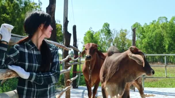 Portret Aziatische Vrouwelijke Boer Staat Een Koeienstal Trots Haar Vruchtbare — Stockvideo