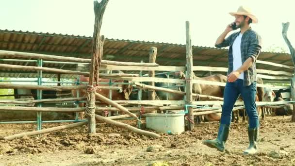 Los Agricultores Masculinos Hablando Teléfonos Inteligentes Que Patrullaban Cobertizo Vaca — Vídeos de Stock