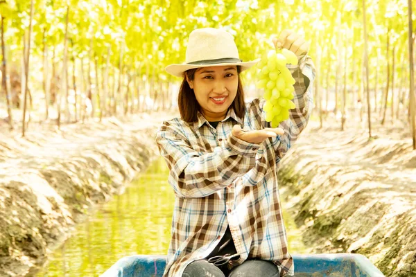 Portré Ázsiai Női Farmer Munkás Egy Üvegszálas Hajón Gyűjtése Fürtök — Stock Fotó