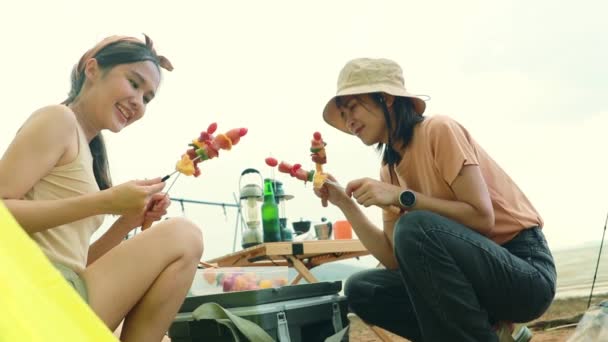 Dos Mujeres Jóvenes Grupo Amigos Acampando Juntos Barbacoa Sobre Parrilla — Vídeo de stock