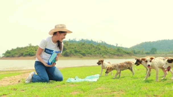 Мягкая Девушка Которая Любит Собак Добрая Азиатская Женщина Волонтер Кормит — стоковое видео