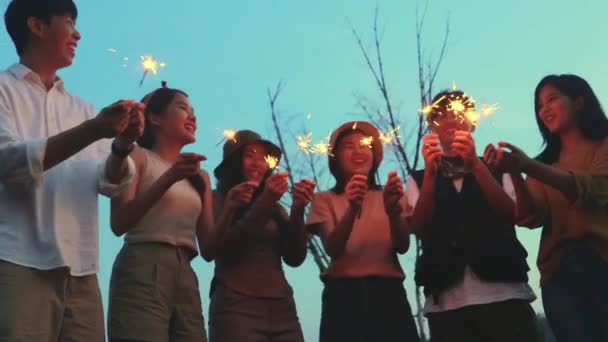 アジアの男性と女性のフレンドリーなグループは 美しい火花で夜を花火に火を設定して楽しい歌踊りを楽しんでレクリエーション活動をしています旅行日のキャンプ旅行の休日 — ストック動画