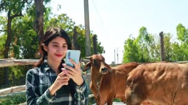 Dişi sığır çiftçisi ineklerin fotoğraflarını çeker ve onları çiftlikte inek alıp satmayı ve sohbet etmeyi düşünmeleri için müşterilere gönderir..