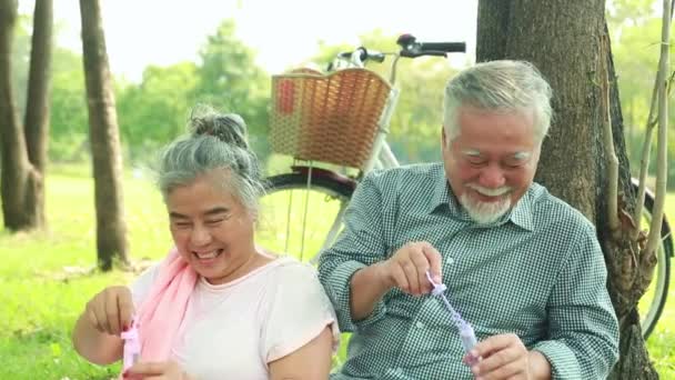 Portrét Asijské Starší Pár Relaxační Zahradě Tráví Šťastný Víkend Hraní — Stock video
