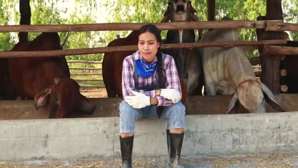 Retrato Asiático Campesina Sentada Una Granja Vacas Criando Vacas Feliz — Vídeo de stock