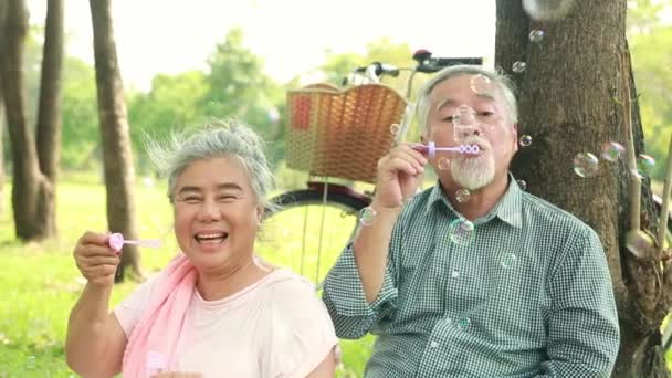 在花园里度过快乐的周末 像个孩子一样吹泡泡的一对亚洲老夫妻正在悠闲地度过着快乐的周末 在夫妻的花园里享受着幸福的心灵 — 图库视频影像