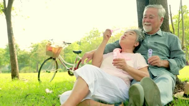 子供のように吹く泡を演奏幸せな週末を過ごす庭でリラックスするポートレートアジアの高齢カップル 夫と妻の庭で魂の幸福 — ストック動画