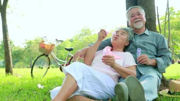 ポートレートアジアの高齢カップルは 子供のように吹く泡を演奏幸せな週末を過ごして庭でリラックス 夫と妻の庭でおかしなソウルメイト幸福 — ストック動画