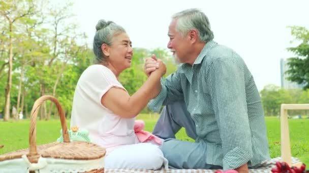 Asijské Starší Pár Mající Piknik Pěkný Den Starší Pár Vyjadřující — Stock video