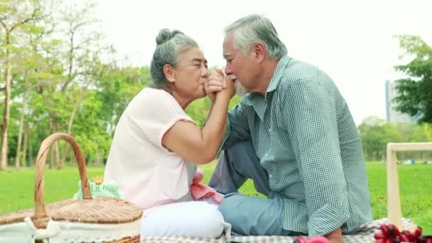 素敵な日にピクニックをしているアジアのシニアカップル 高齢カップルは 愛を表現し 手を握り 庭で一緒に甘いロマンチックな関係でキス — ストック動画