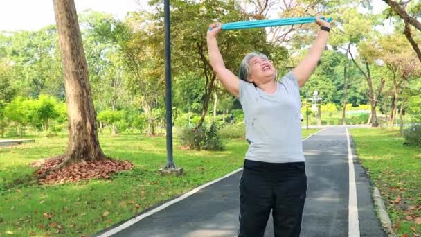 Aziatische Gezonde Oudere Vrouw Wandelen Voor Ochtend Oefening Schaduwrijke Park — Stockvideo