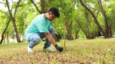 Genç Asyalı gönüllü erkek gönüllüler yeşilliğe gölge düşürmek için bahçedeki boş alanı korumak için ağaç dikiyorlar..