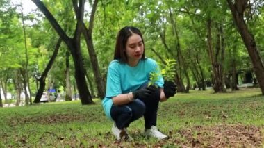 Şirin, genç Asyalı bir kadının gönüllü olarak bitki yetiştirmesi bahçedeki boş alanda çevreyi koruyor gölgeli yeşillikler ekliyor mutlu ve keyifli bitki ağaçları yetiştiriyor..