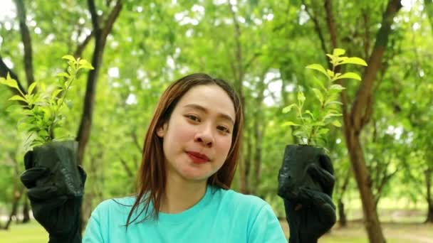 Jovem Bonito Asiático Jovem Mulher Voluntariado Planta Árvores Protegendo Ambiente — Vídeo de Stock