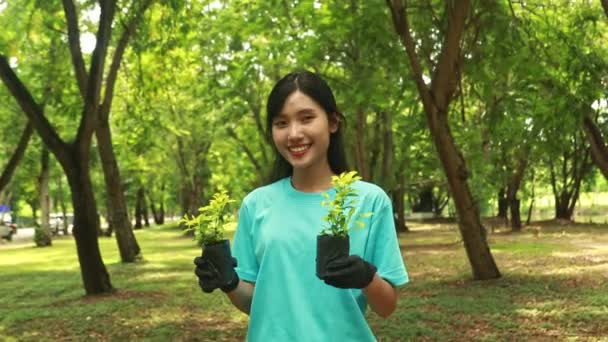 肖像画若いかわいいアジアの女性ボランティア植物の木は庭の環境を保護し カメラを見ている幸せな笑顔を保持している木のサンプリングを示す緑を追加 — ストック動画