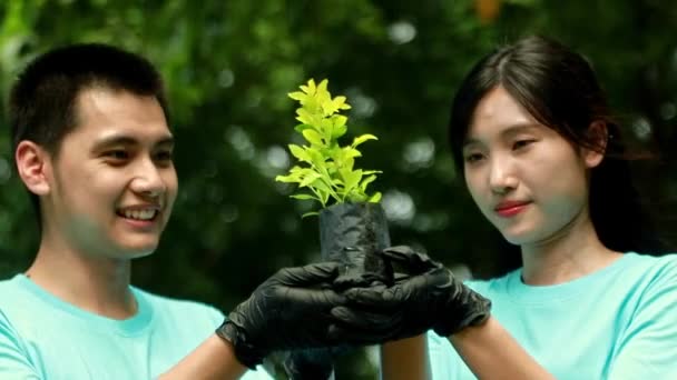 Aziatisch Koppel Milieu Ecologie Vrijwilligers Samen Houden Van Jonge Boompjes — Stockvideo