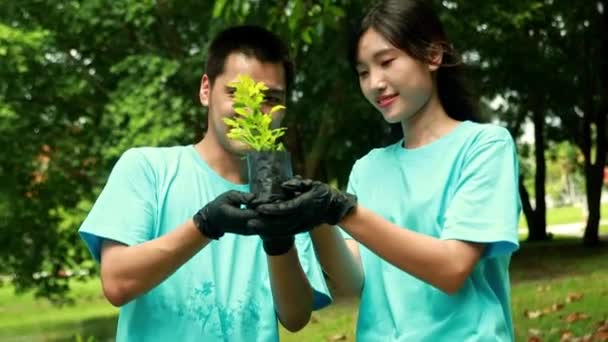 Aziatisch Koppel Milieu Ecologie Vrijwilligers Samen Houden Van Jonge Boompjes — Stockvideo