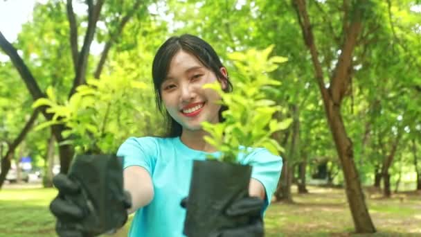 Ung Söt Asiatisk Ung Kvinna Volontärarbete Plantera Träd Som Skyddar — Stockvideo