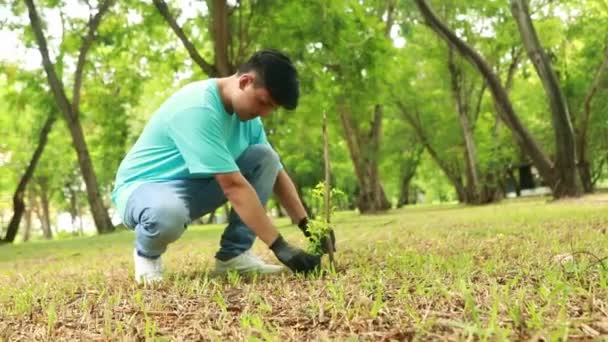 亚洲英俊男子自愿植树 以保护环境 在空旷的土地上 增加绿叶 竖起大拇指 准备植树 — 图库视频影像